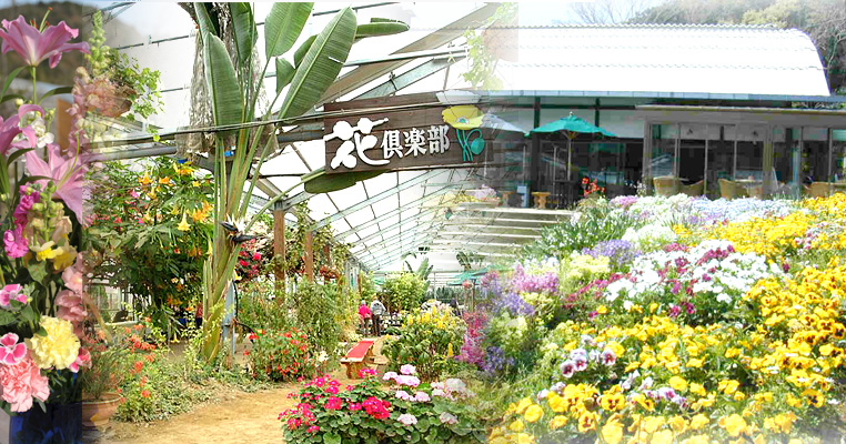 花倶楽部